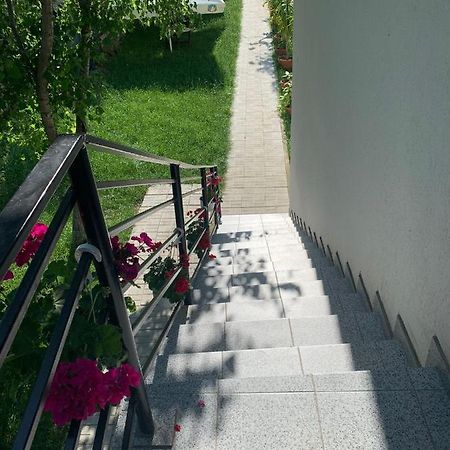 Casa Steluta De Mare Hotel Două Mai Eksteriør billede